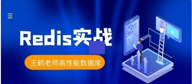 高性能数据库Redis实战课程 动力节点王鹤老师Redis基础精华实战系统学习课程