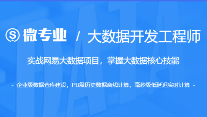 网易云微专业-大数据开发工程师|价值14500元|重磅首发|13章完结无秘