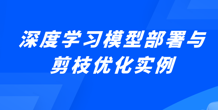 深度学习模型部署与剪枝优化实例