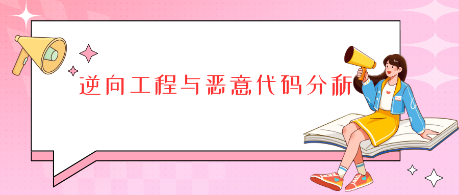 逆向工程与恶意代码分析