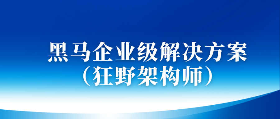 黑马-企业级解决方案（狂野架构师）