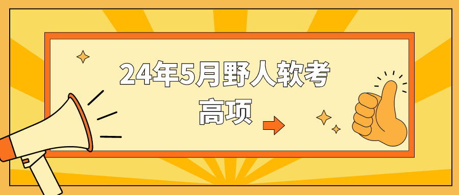 24年5月野人软考高项